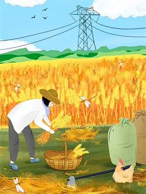 龙王赘婿：我的医术冠绝天下(林天苏婉)完整版小说全文免费阅读_免费阅读无弹窗龙王赘婿：我的医术冠绝天下林天苏婉