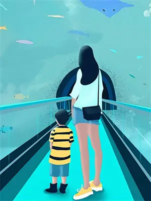 锦风堂中药茶麸养发