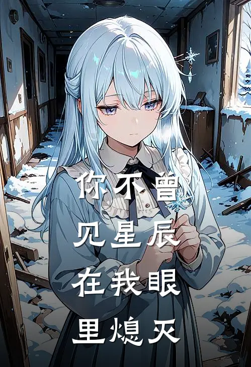 你不曾见星辰，在我眼里熄灭