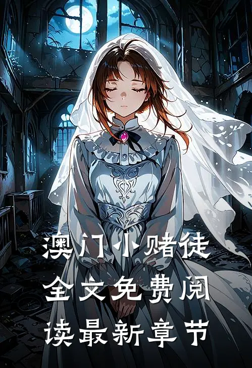 澳门小赌徒全文免费阅读最新章节