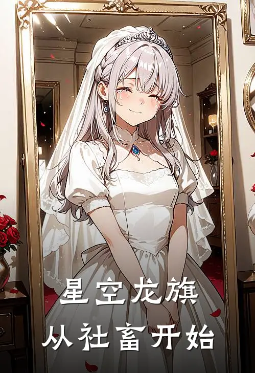 星空龙旗，从社畜开始